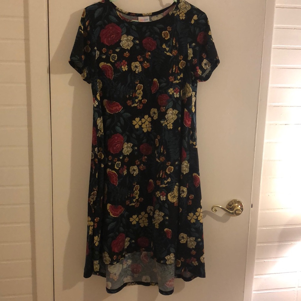 Lularoe Small Carly